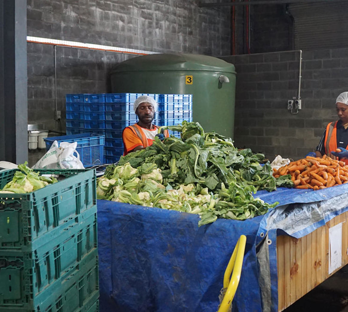 Waste Management & Hygiene Staff